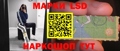 Альфа ПВП Новодвинск