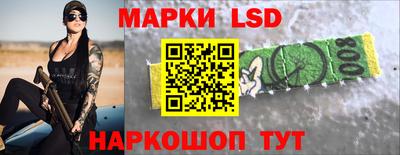Альфа ПВП Новодвинск