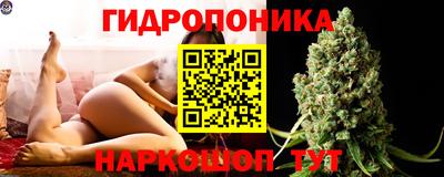 гашиш Новозыбков