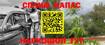 прущие крисы Новокубанск