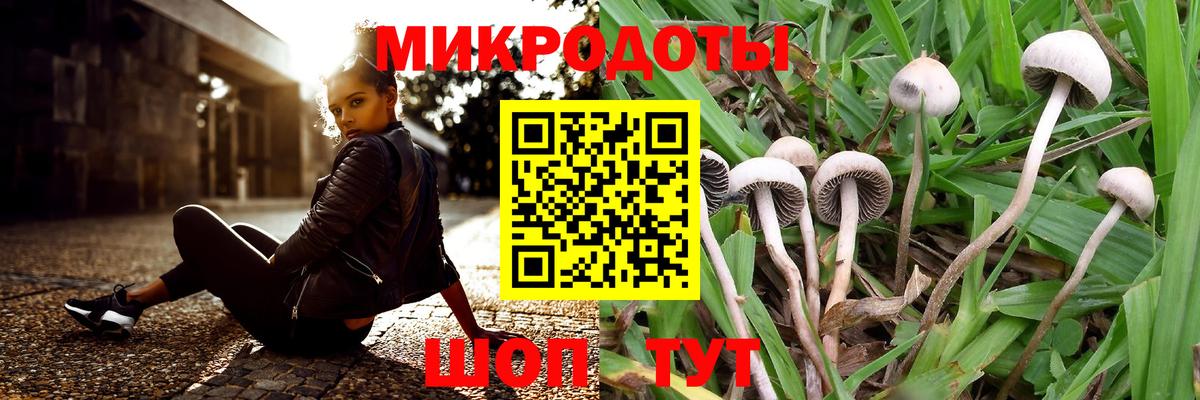 Псилоцибиновые грибы прущие грибы Улан-Удэ