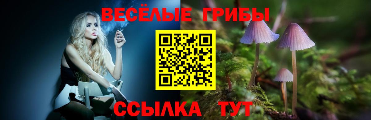 Улан-Удэ  Псилоцибиновые грибы прущие грибы  Вход с VPN 